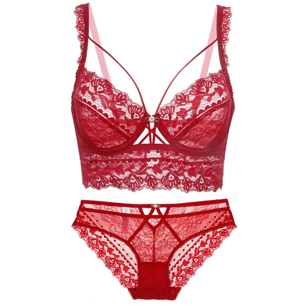 Nuevo conjunto de sujetador, lencería, sostén push-up, ropa interior de encaje, bragas sexis transparentes.