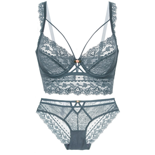 Nuevo conjunto de sujetador, lencería, sostén push-up, ropa interior de encaje, bragas sexis transparentes.