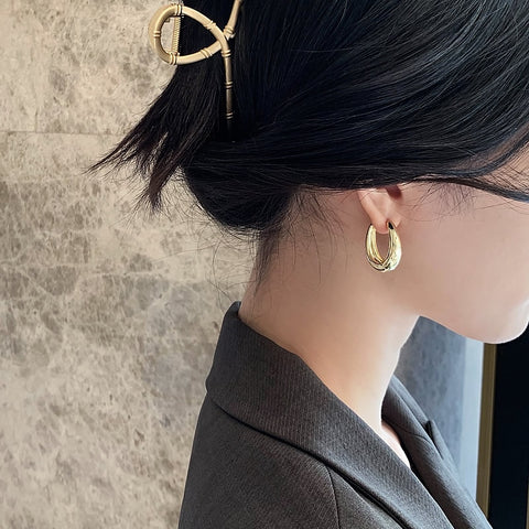 New Alloy Smooth Metal Hoop Earrings For Woman Fashion Jewelry Temperament Girl's Daily Wear Earrings