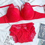 Lencería sujetador ropa interior sección sexy tamaño transpirable encaje push up sujetador y panty conjunto